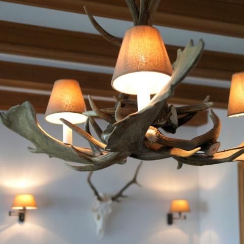 Dammhirschlampe Dammhirschlampe